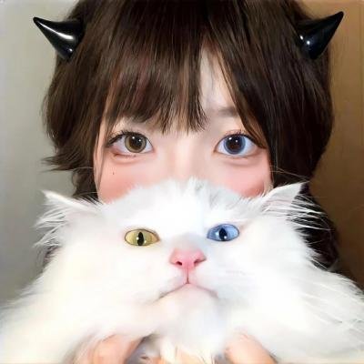 好莱坞队列